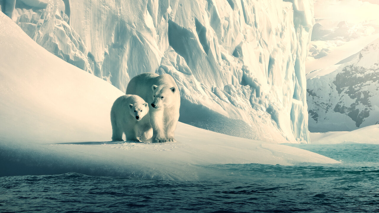 Our Planet | Officiële Netflix-website