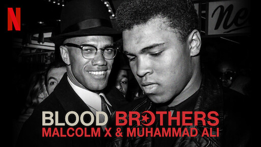 blood brothers book ali muhammad